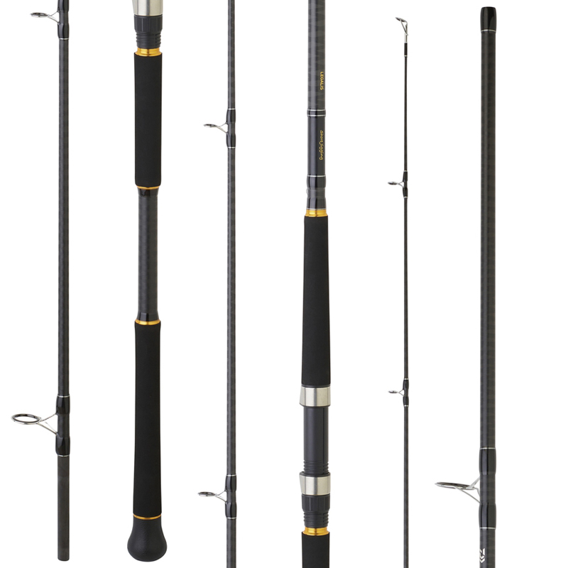 Daiwa Legalis Shore Jigging Daiwa Legalis Shore Jigging