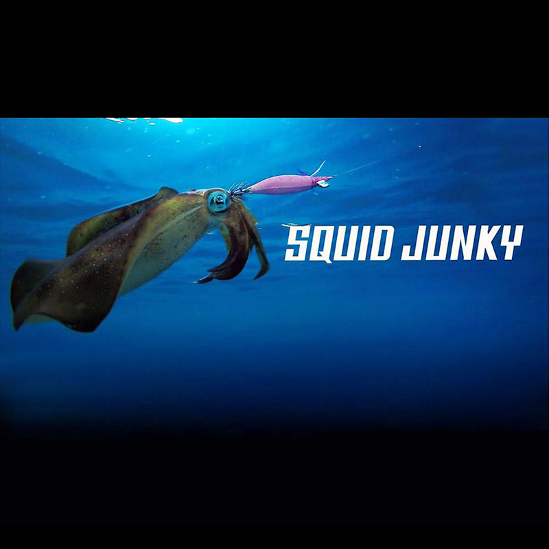 Hayabusa Squid Junky FS-510 #3.0 Hayabusa Squid Junky FS-510 #3.0