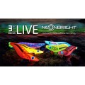 Yamashita Egi OH-Live Neon Bright #3.0 Yamashita Egi OH-Live Neon Bright #3.0