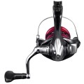 Shimano Sienna FG Shimano Sienna FG