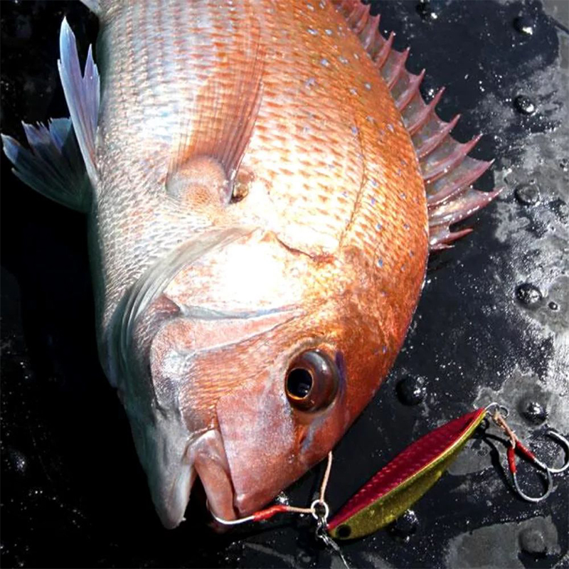 Tackle House Tai Jig 80g Tackle House Tai Jig 80g