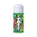 Marukyu Norinori Ika Rider Stamp Marukyu Norinori Ika Rider Stamp