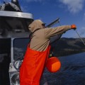 Grundens Neptune 509 Commercial Fishing Bib Black Grundens Neptune 509 Commercial Fishing Bib Black