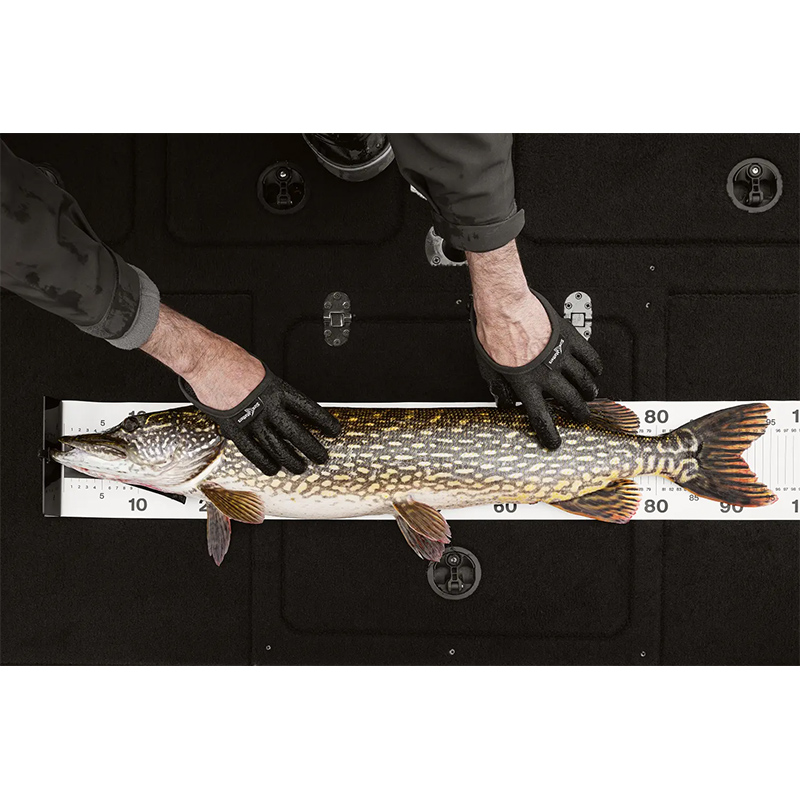 Size Matters Fish Ruler Size Matters Fish Ruler