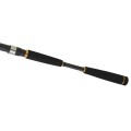 Daiwa Legalis SeaBass Daiwa Legalis SeaBass