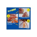 Owner Cultiva Silicon Stop for Tai-Rubber 81149 Owner Cultiva Silicon Stop for Tai-Rubber 81149