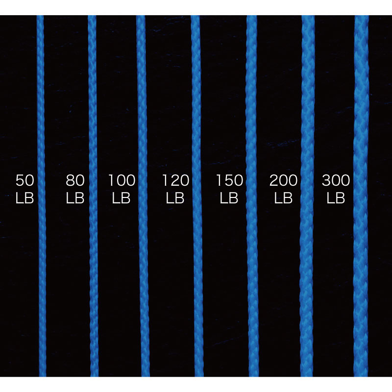 Shout Assist Blue PE Line 426-AP